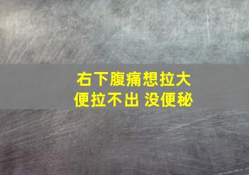 右下腹痛想拉大便拉不出 没便秘